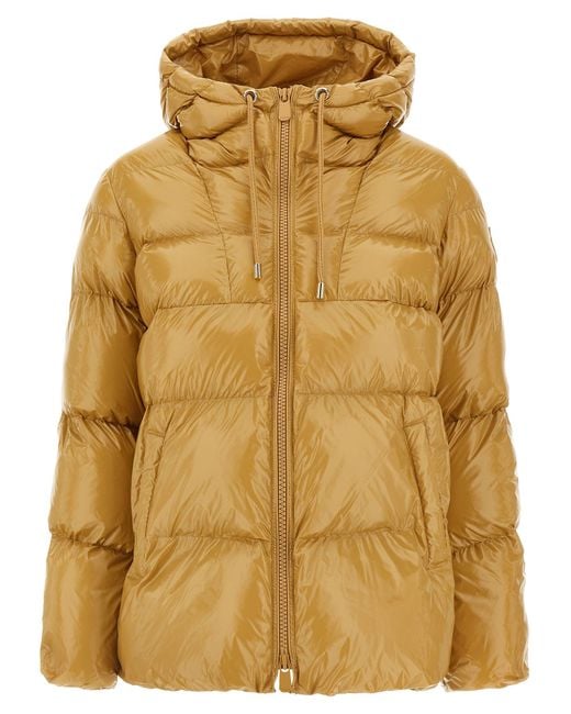 Pinko Natural Eleodoro Down Jacket