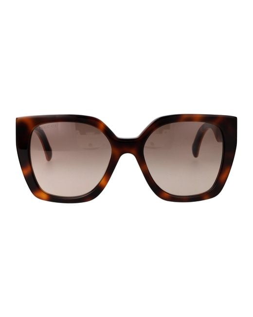 Women's Brown Sunglasses