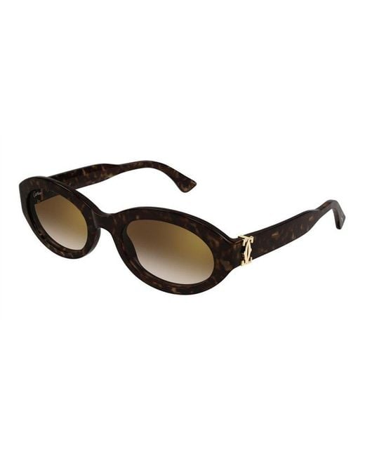 Women's Brown Ct0588S 002