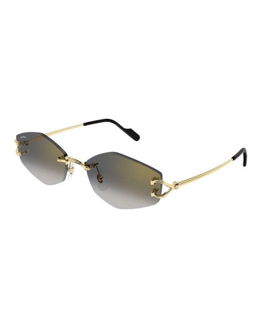 Cartier Metallic Ct0620S 001