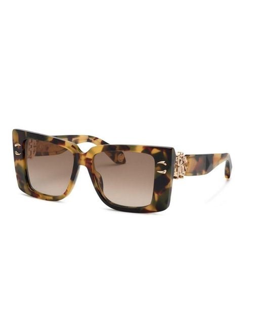 Roberto Cavalli Brown Src056M 0Agg