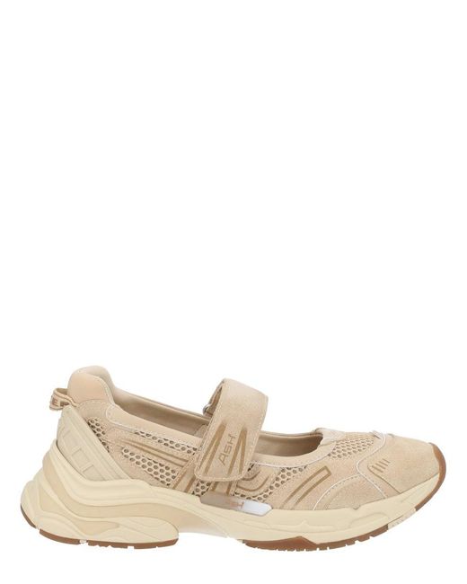 Ash Natural Sneaker Rolls