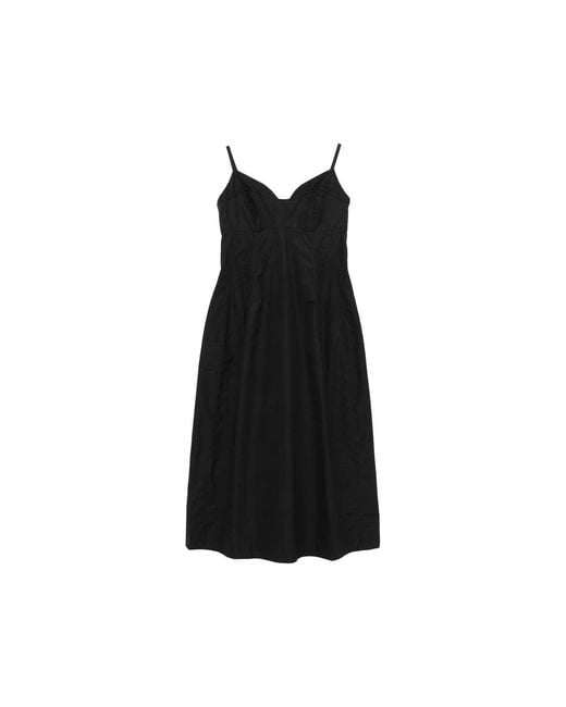 Co. Black Dresses