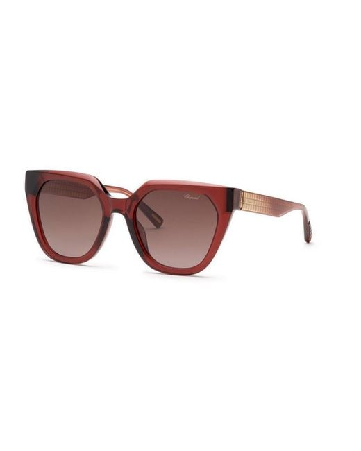 Chopard Brown Sch377M 0Afd