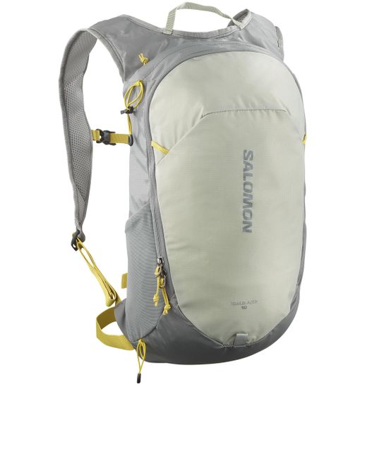 Trailblazer 10L di Salomon in Gray