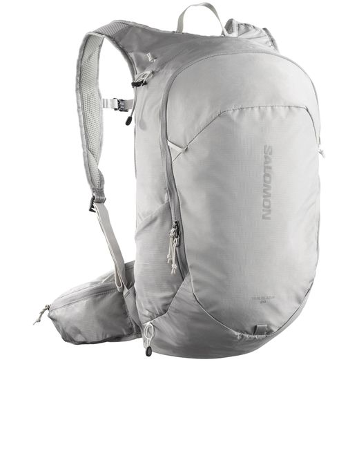 Trailblazer 20 di Salomon in Gray