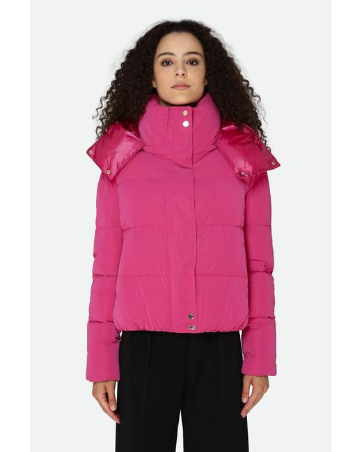 Patrizia Pepe Pink Bomber Fuchsia