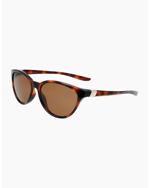 Nike Brown Persona Cat Eye Sunglasses for men