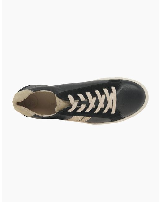 Paul Green Black Lulu Trainers