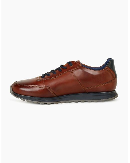 Bugatti Brown 'Cellar' Smart Trainers for men