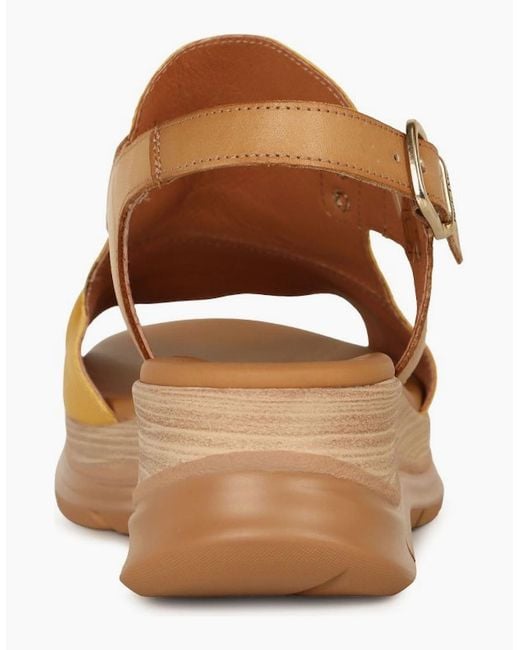 Paula Urban Brown Riviera Ii Sandals