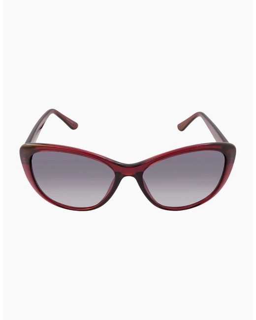 Calvin Klein Multicolor Milky Burgundy Framed Gradient Lensed Sunglasses