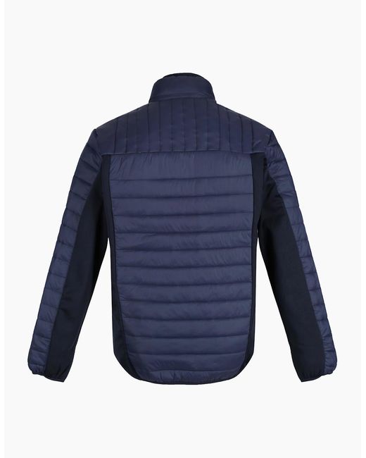 Regatta Blue Professional Hybrid Jacket for men