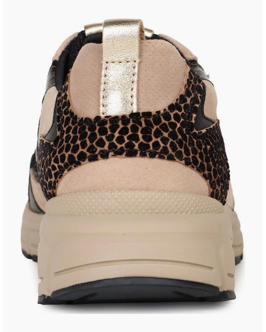 Gabor Brown Adder Trainers