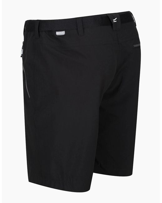 Regatta Black Xert Iii Stretch Shorts for men