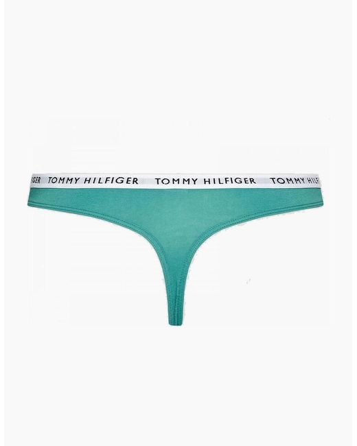 Tommy Hilfiger Blue Cotton 3-Pack Thong, Cranberry/Aqua/Saltwater