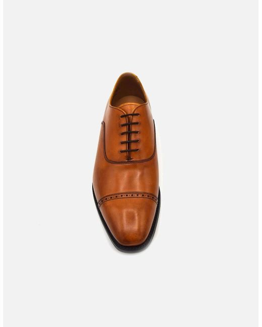 Cheaney Brown Wilton Formal Shoe for men