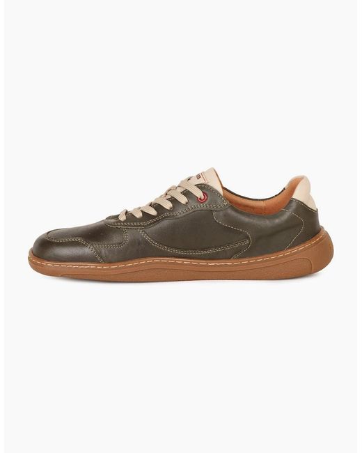 Pikolinos Brown Aranjuez Trainers for men