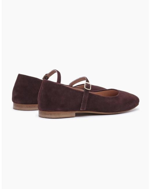 Hush Puppies Purple Pasha Suede Chocolate Flats