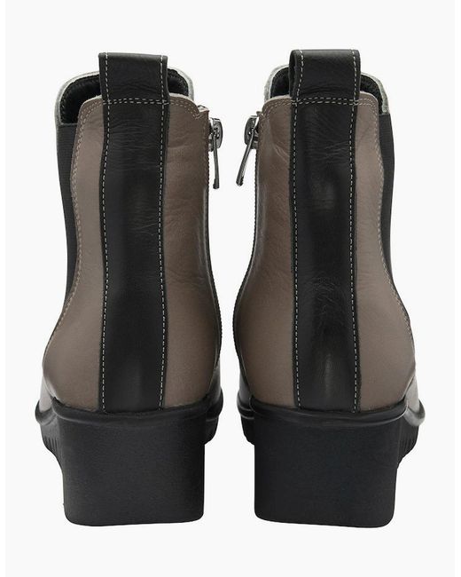 Lotus Brown Dresden Ankle Boots