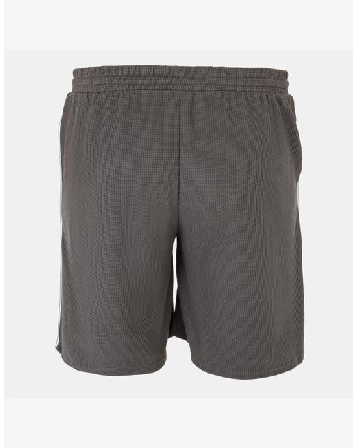 Fabric Gray Shorts for men
