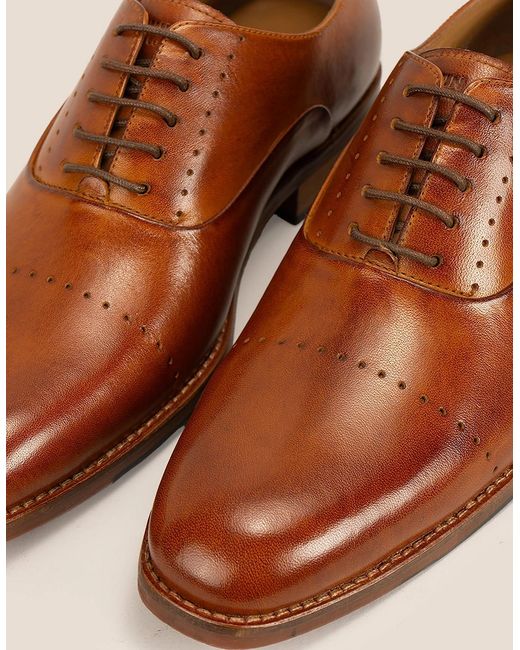 Oswin Hyde Brown Edward Tan for men