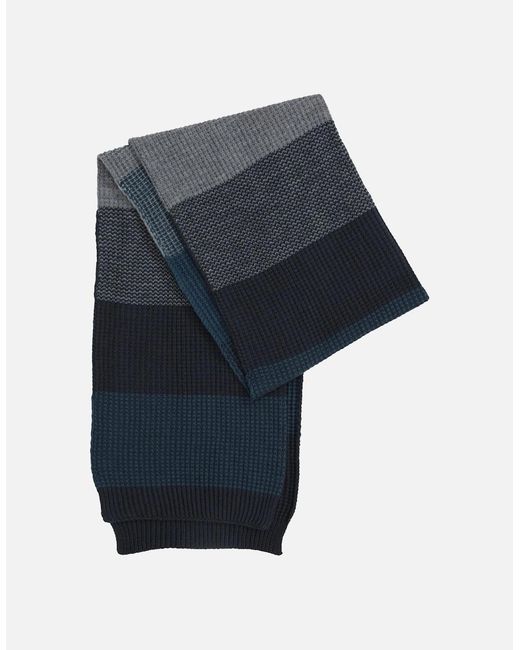 Mountain Warehouse Blue Mirka Knitted Scarf for men