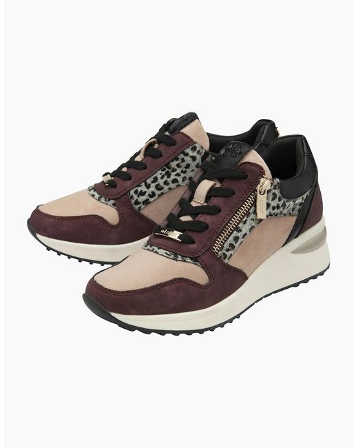 Lotus White Moore Trainers