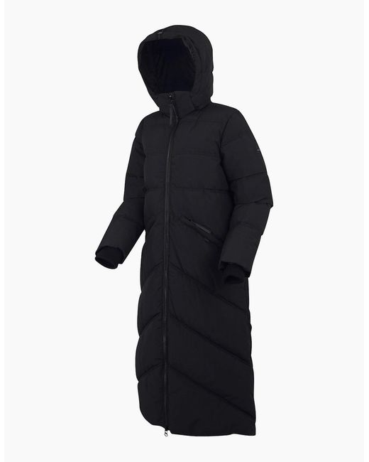 Regatta Blue Ladies Ujeane Padded Jacket