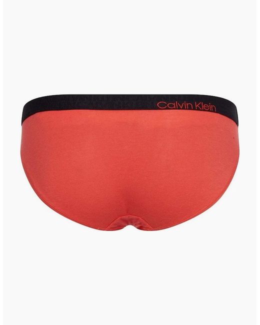 Calvin Klein Ck Reconsidered Comfort Bikini Brief, Punch