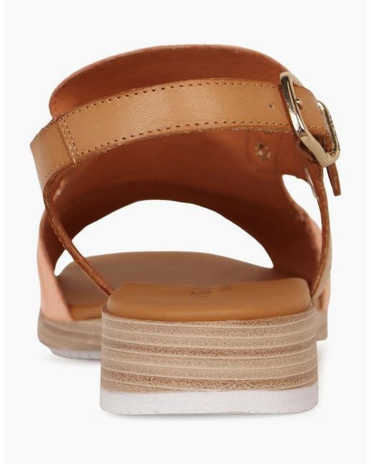Paula Urban Brown Coastal Buckle Fastening Sandals