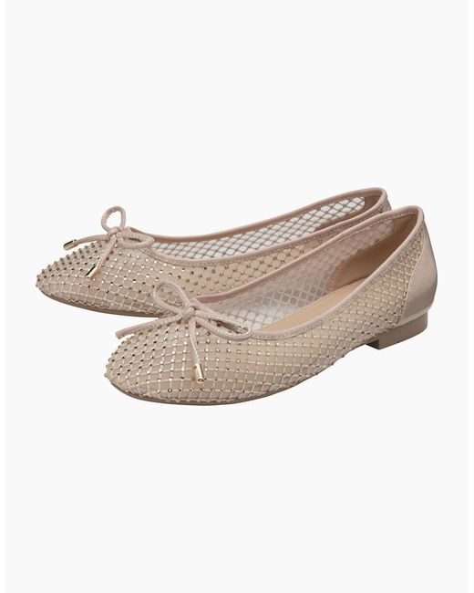 Lotus White Americas Ballet Pumps