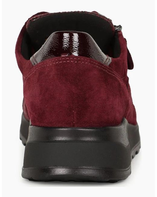 Waldläufer Red Hiroko Trainers