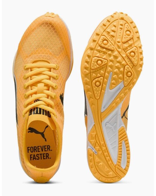 PUMA Orange Evospeed Haraka 8 Off Road Trail Running Shoes for men