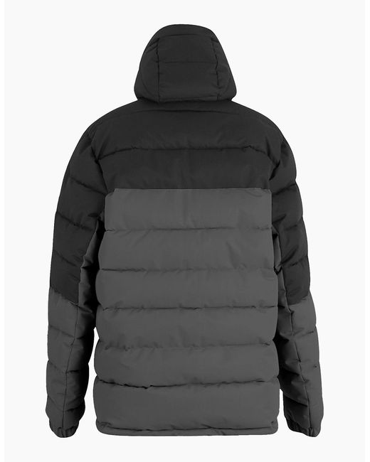 Regatta Gray Aldthorn Padded Jacket for men