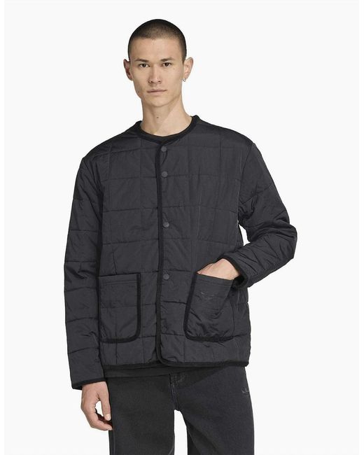 Adidas Black Quilted Jacket for men