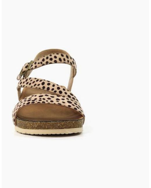 Lunar Brown Muster Jlh529