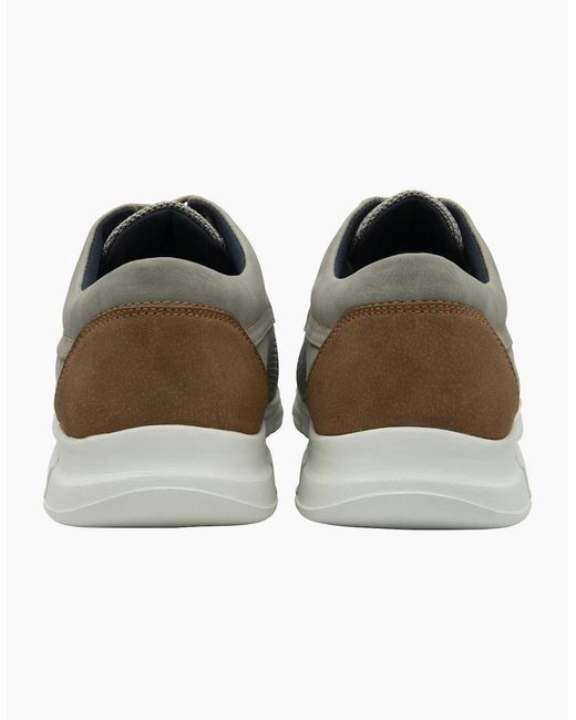 Lotus Gray Arezzo Trainers for men