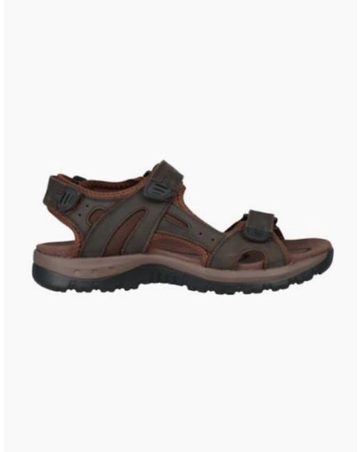 Josef Seibel Brown 253316 Bart 06 for men