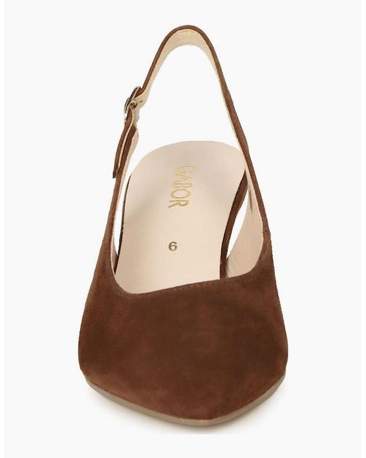 Gabor Brown Lazona Court Shoes