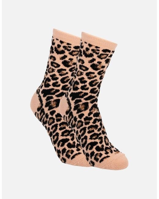 Trespass White Ladies Aryash Socks (Pack Of 2)