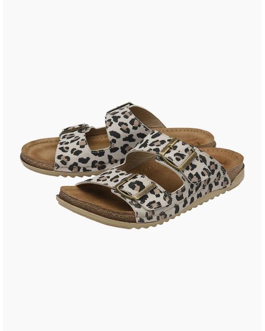 Lotus Brown Rome Mules