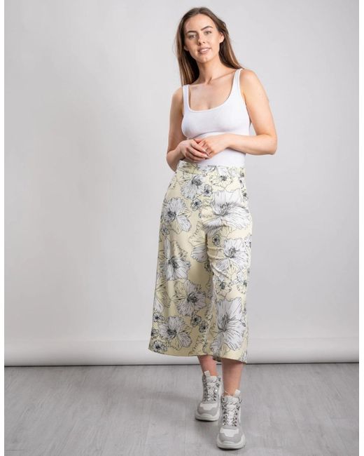 Great Plains Gray Great Plains Tropical Fauna Culotte