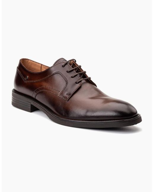 Base London Brown Sleeve Lace Up Shoes for men