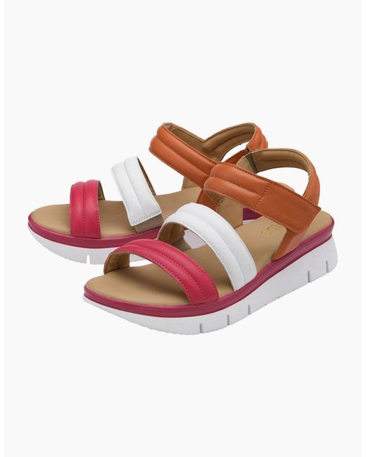 Lotus Pink Zamira Sandals