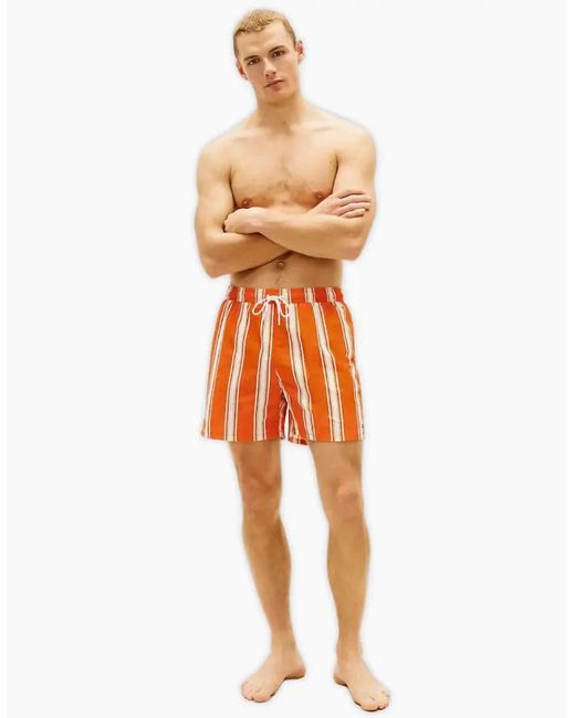 Tommy Hilfiger Orange Sunset Stripe Print Swim Shorts, Brilliant for men