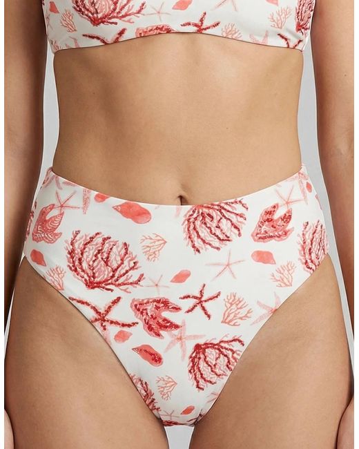 Oceanus Multicolor Josie Bikini Bottom