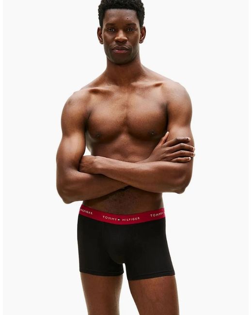 Tommy Hilfiger Blue 3-Pack Signature Cotton Boxer Trunks, W/ Burgundy for men