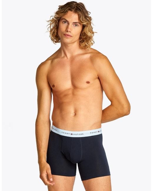 Tommy Hilfiger Blue 3-Pack Signature Cotton Coloured Band Boxer Briefs for men