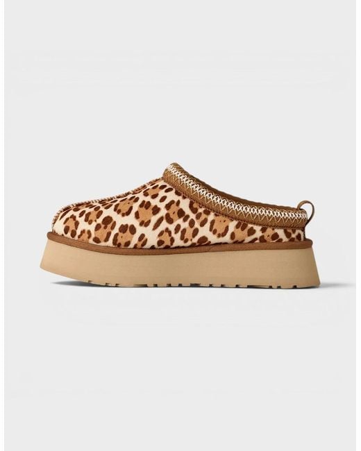 Ugg Brown Tazz Plains Felicity Leopard